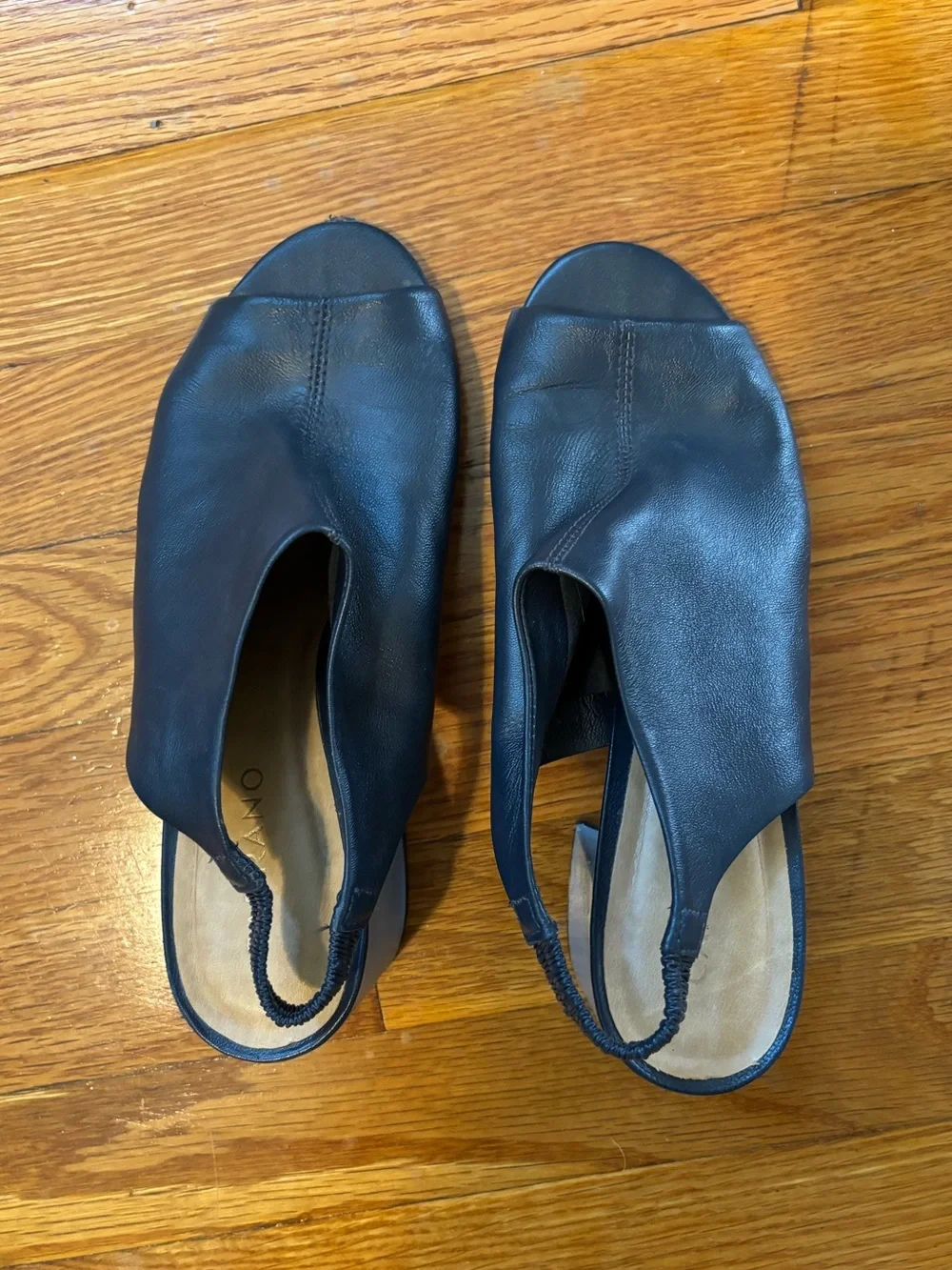 Carrano chic blue